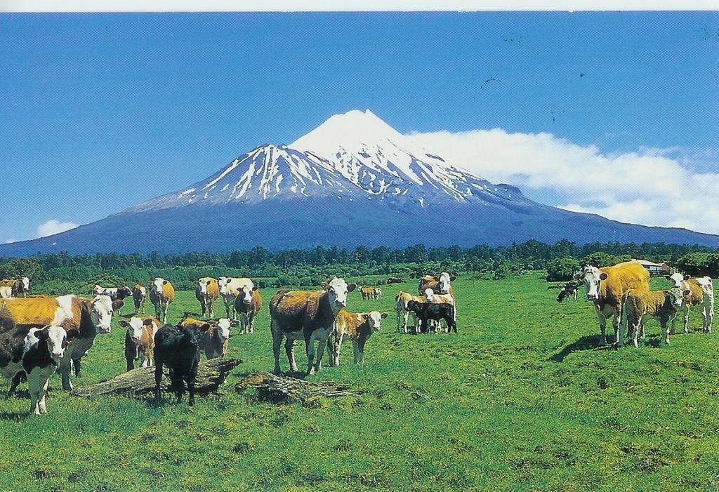 Wheatly Downs Farmstay And Backpackers Hawera Exterior photo